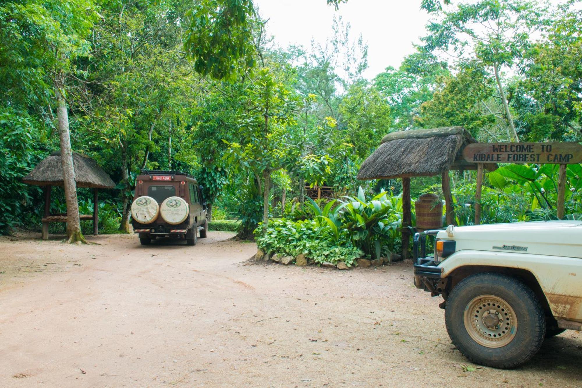 Kibale Forest Camp By Nature Ltd Lodge