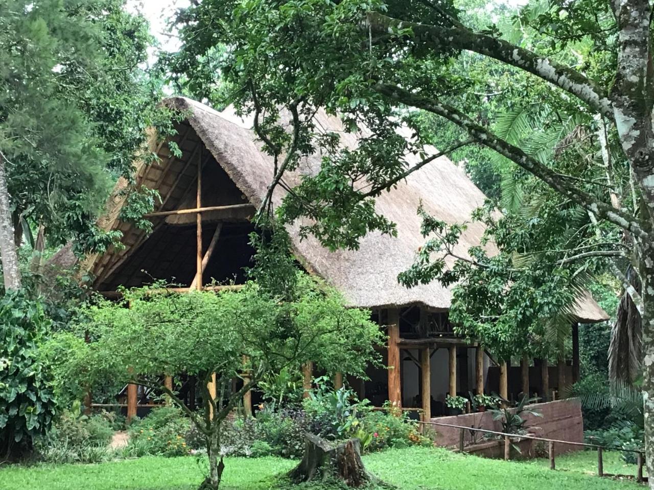 Kibale Forest Camp By Nature Ltd * Kyonjojo