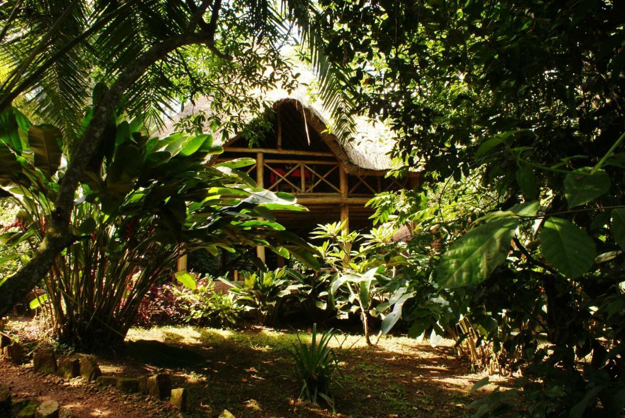 Lodge Kibale Forest Camp By Nature Ltd Kyonjojo