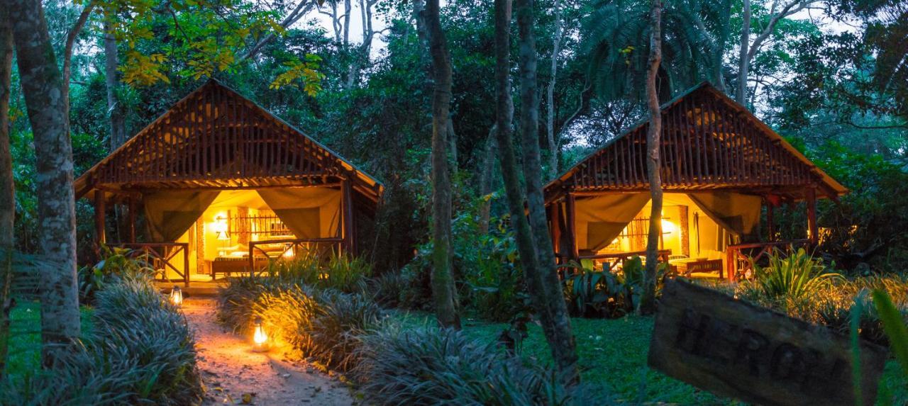 Kibale Forest Camp By Nature Ltd Lodge