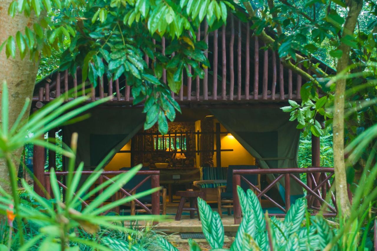 Kibale Forest Camp By Nature Ltd Kyonjojo