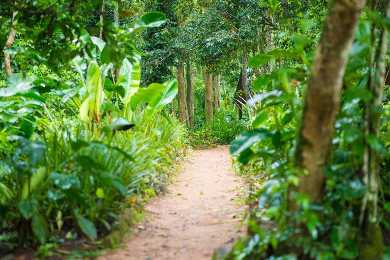 Kibale Forest Camp By Nature Ltd * Kyonjojo