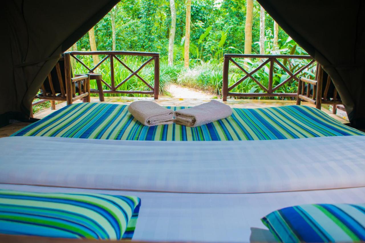 Kibale Forest Camp By Nature Ltd Lodge *