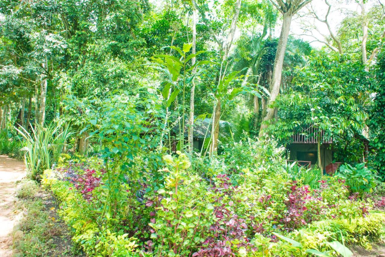 Kibale Forest Camp By Nature Ltd Kyonjojo