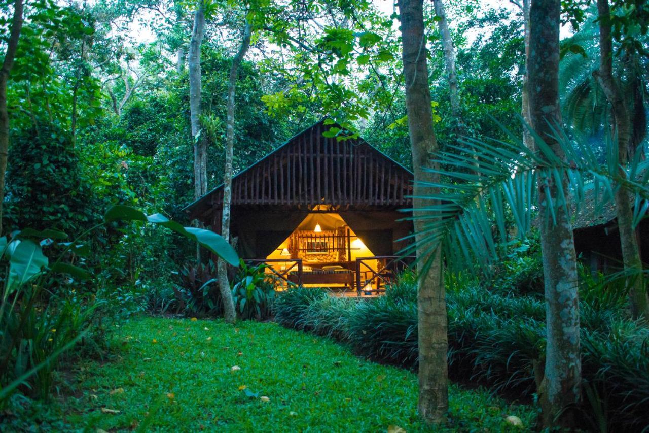 Kibale Forest Camp By Nature Ltd Kyonjojo