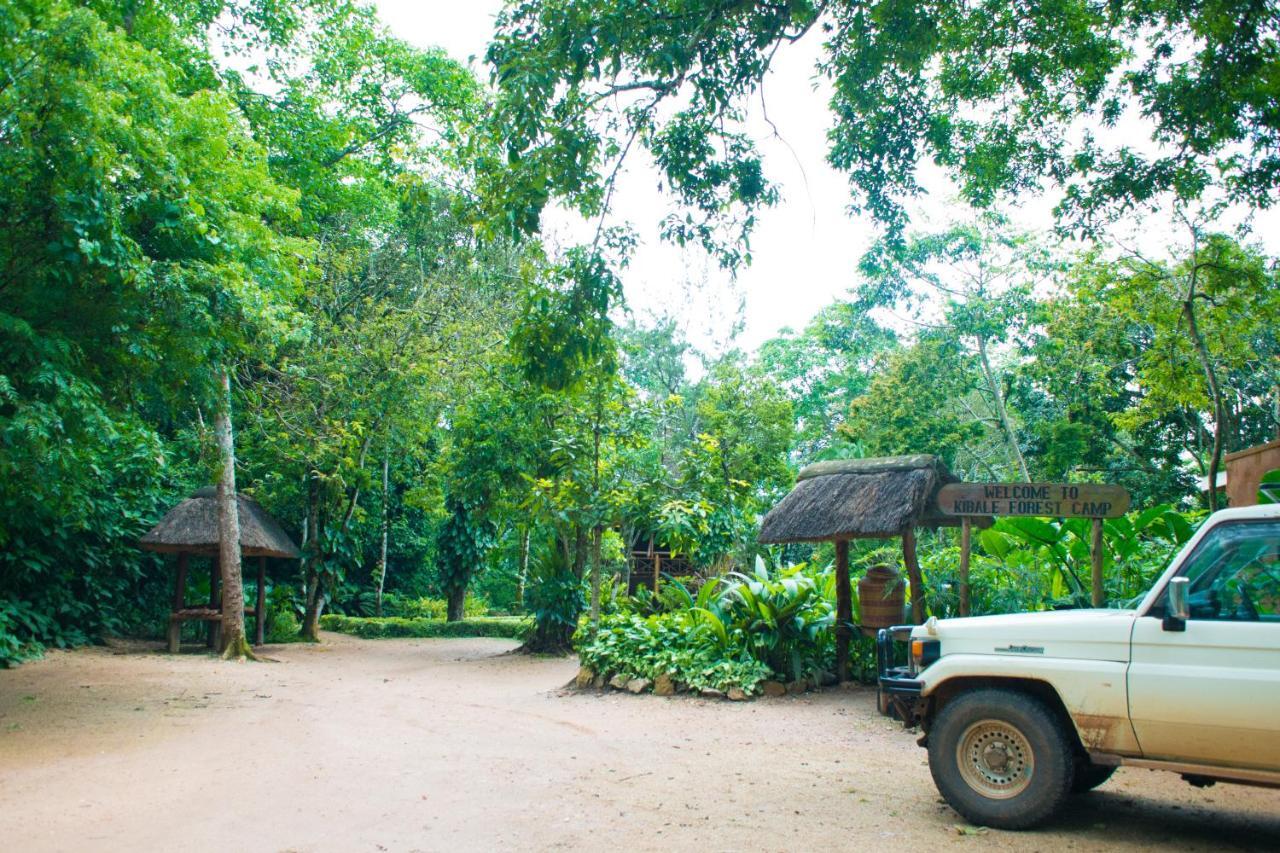 Kibale Forest Camp By Nature Ltd *